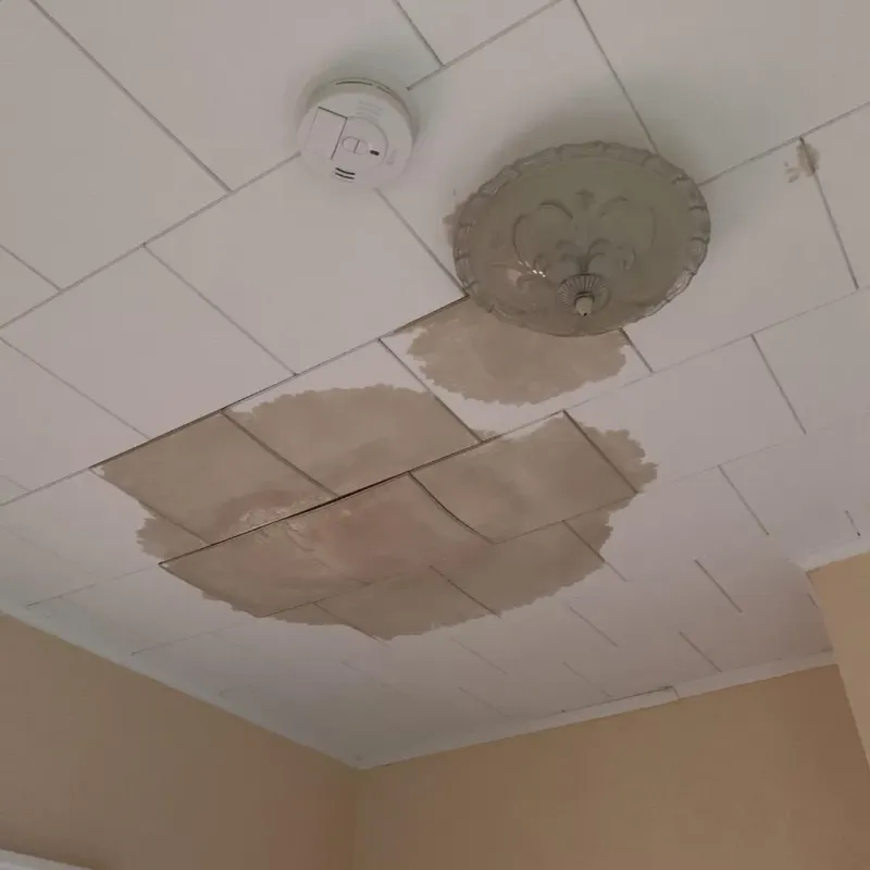 Ceiling Water Damage Repair in Hopwood, PA