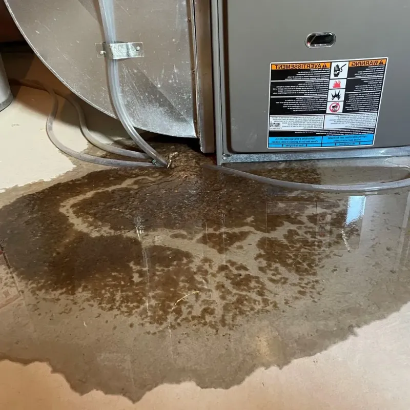 Pipe Burst and Leak Restoration in Hopwood, PA