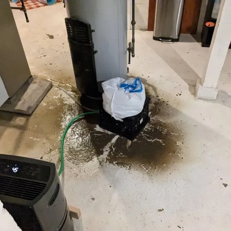 Sewage Backup Cleanup Service in Hopwood, PA